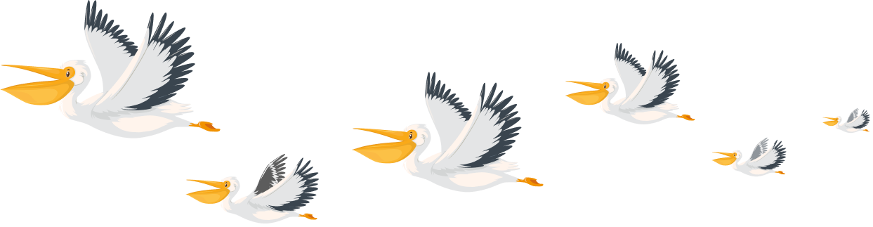 Cartoon of pelicans flying.